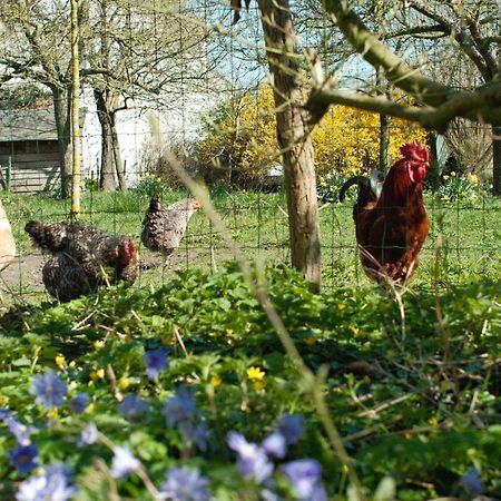 Willa In Den Akker Oudenaarde Zewnętrze zdjęcie